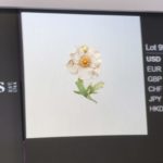 Sothebys final bid | Custom Brooch | Plique a Jour Jewelry